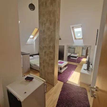 Apartment Veki *
